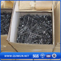 Q195 Bwg3-20 Bright Polish Galvanized Roofing Nails From Anping Factroy